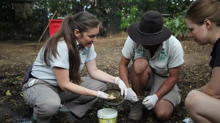Who's Poo in the Zoo (2022) - Episode 9 poster and promotional image