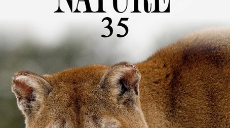 Season 35 (2016) - Season 35 poster and promotional image