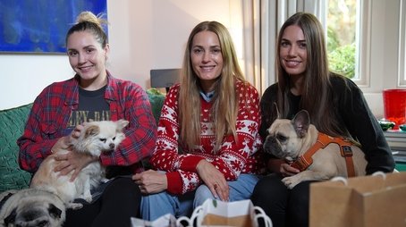 The Supervet at Christmas 2020 (2020) - Episode 5 poster and promotional image