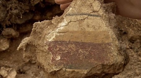 Rooting for the Romans - Bedford Purlieus Wood, Cambridgeshire (2011) - Episode 13 poster and promotional image