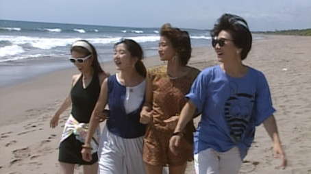 Bye-bye Knight Sabers: Holiday in Bali (1991) - Episode 14 poster and promotional image