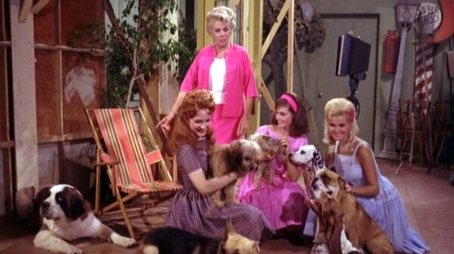 The Dog Turns Playboy (1965) - Episode 3 poster and promotional image