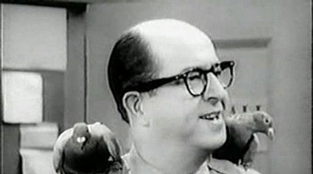 Bilko's Pigeons (1958) - Episode 19 poster and promotional image