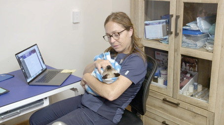 Dr. Oakley, Yukon Vet Сезон 9