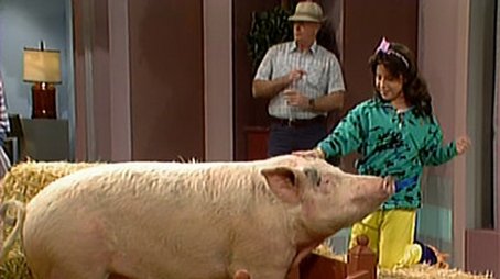 Punky's Porker (1987) - Episode 17 poster and promotional image