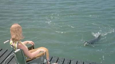 The Second Time Around (1964) - Episode 11 poster and promotional image