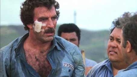 Magnum, P.I. Stagione 5