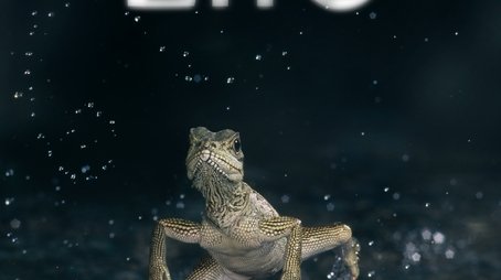Life (2009) poster