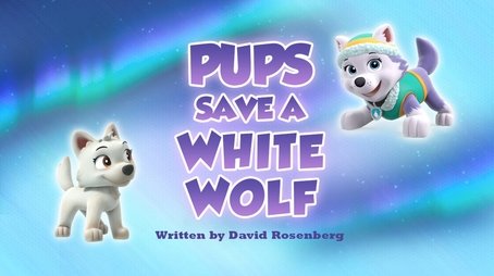 Pups Save a White Wolf (2019) - Episode 37 poster and promotional image