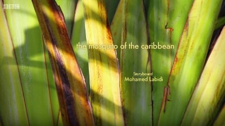 The mosquito of the caribbean (2013) - Episode 88 poster and promotional image