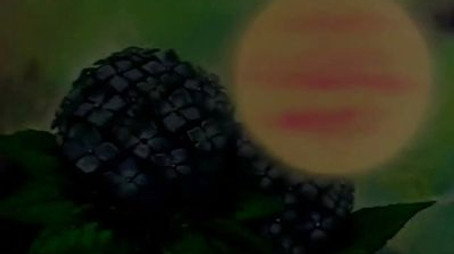 花の子ルンルン Сезон 1