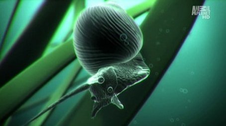 Stowaways (2010) - Episode 6 poster and promotional image