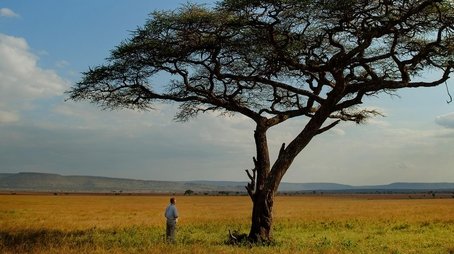 The Serengeti Rules (2019) - Episode 2 poster and promotional image