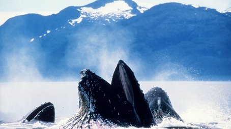 Tidal Seas (2001) - Episode 7 poster and promotional image