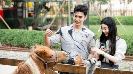 心动的信号 Temporada 6