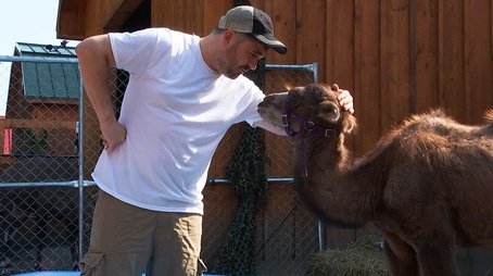 Hump Day (2018) - Episode 20 poster and promotional image