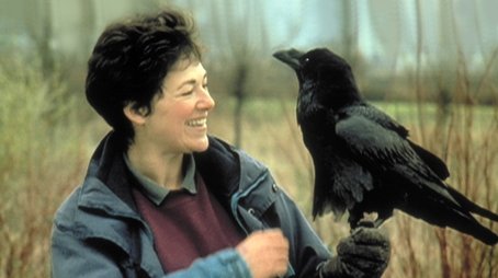 Ravens (2001) - Episode 12 poster and promotional image