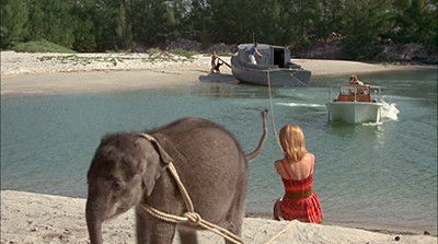Flipper and the Elephant (2) (1965) - Episode 25 poster and promotional image