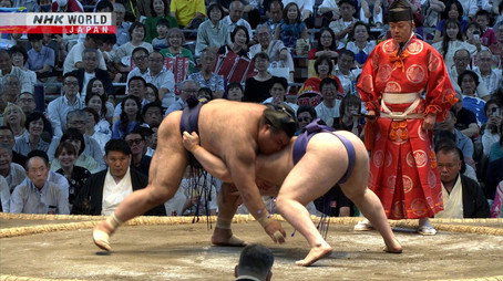 GRAND SUMO Highlights Сезон 30
