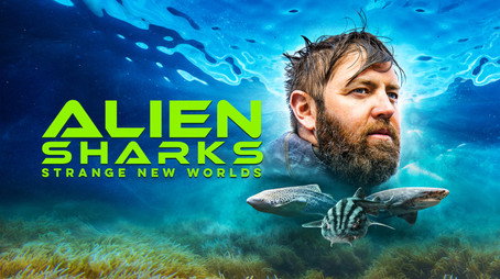 Shark Week Сезон 36