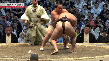 GRAND SUMO Highlights Сезон 30