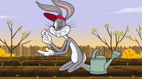 Bugs in the Garden (2015) - Episode 23 poster and promotional image