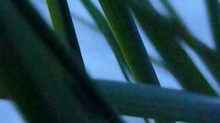 I DROVE TO THE SHORE AND FORGOT WHO I WAS (2025) poster