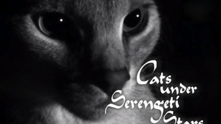 Cats Under the Serengeti Stars (2003) - Episode 9 poster and promotional image