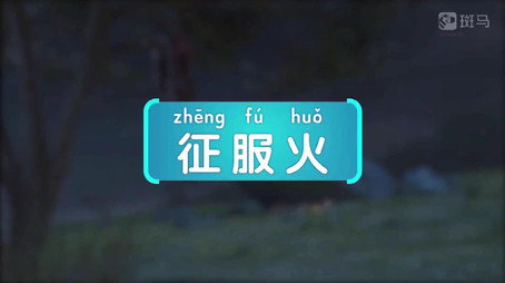 斑马百科 Сезон 23