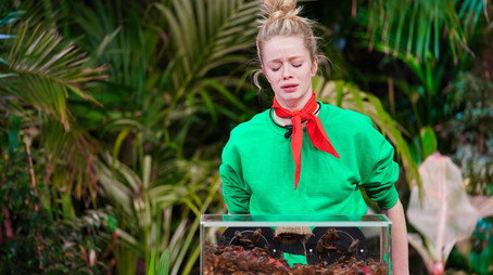 Ich bin ein Star - Die große Dschungelshow Sezóna 1