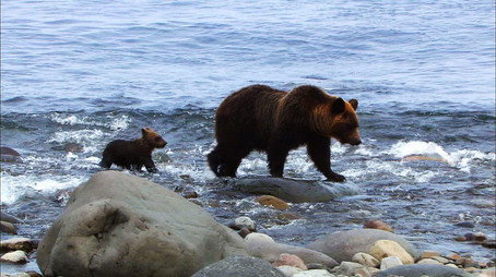 Wild Hokkaido! Сезон 1