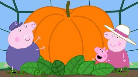 Pumpkin Competition