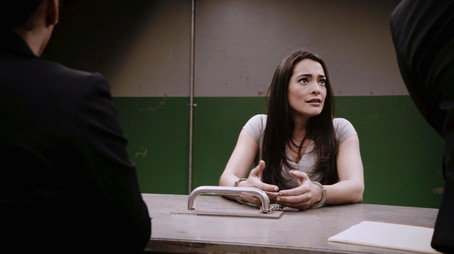 The Fugitive Temporada 1