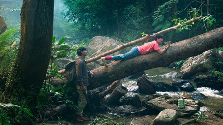 ฤดูหลงป่า Stagione 1