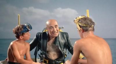 My Brother Flipper (1964) - Episode 10 poster and promotional image