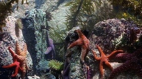 At the Edge of the Sea (1997) - Episode 7 poster and promotional image