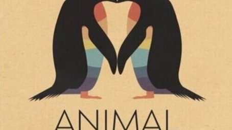 Animal Pride: Nature's Coming Out Story (2024) poster