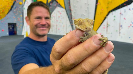 Halálos ragadozók Évad 1