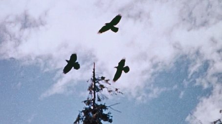 Money Crop (1975) - Episode 20 poster and promotional image