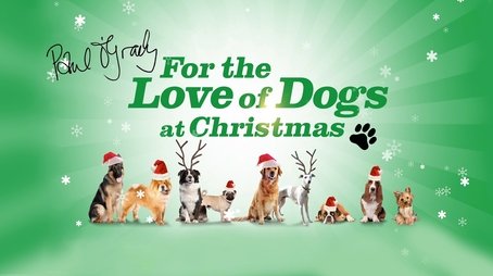 At Christmas (2016) (2016) - Episode 5 poster and promotional image