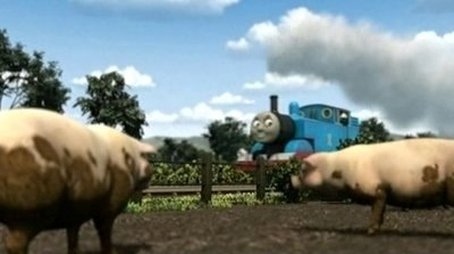 Thomas & The Pigs