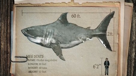 Expedition Unknown: Megalodon (2019) - Episode 110 poster and promotional image