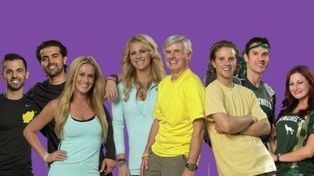 All-Stars (2014) - Season 24 poster and promotional image