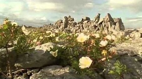 Ireland: Sculpted Isle (2004) - Episode 16 poster and promotional image