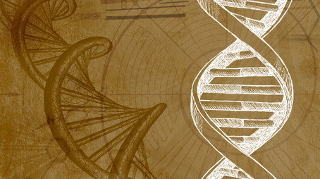 Inner Evolution Évad 1