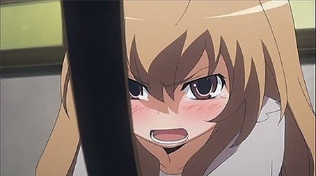 Toradora!11