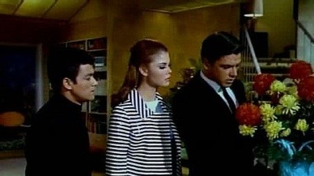 Hornet Save Thyself (1967) - Episode 24 poster and promotional image