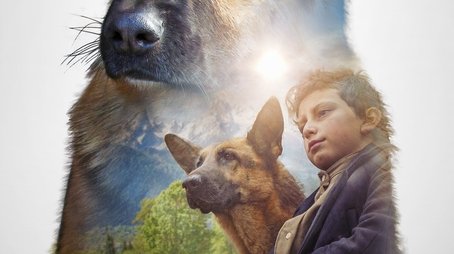 Shepherd: The Story of a Jewish Dog (2020) poster