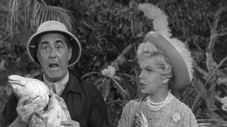 Birds Gotta Fly, Fish Gotta Talk (1964) - Episode 12 poster and promotional image