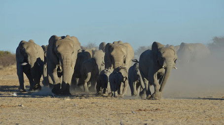 Episode 92 (2013) - Episode 92 poster and promotional image